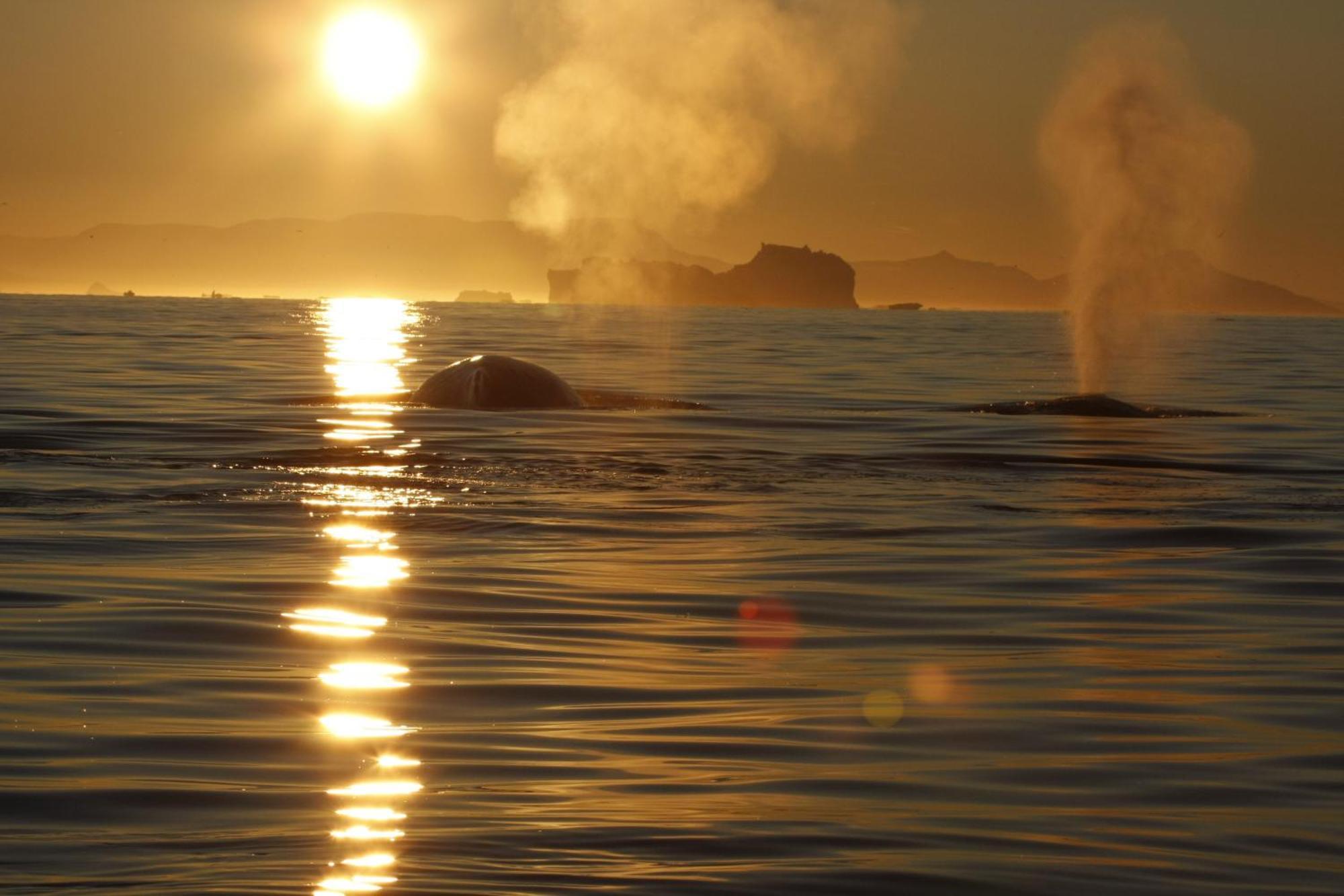 Hotel Icefiord Ilulissat Esterno foto